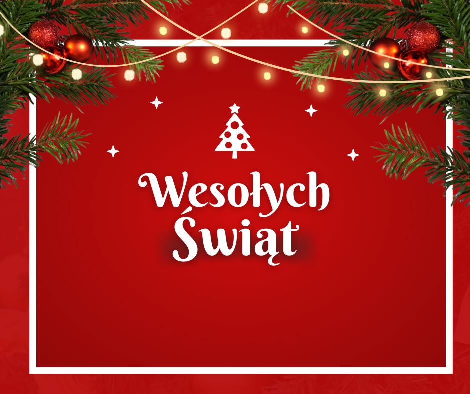 Read more about the article Wesołych Świąt !